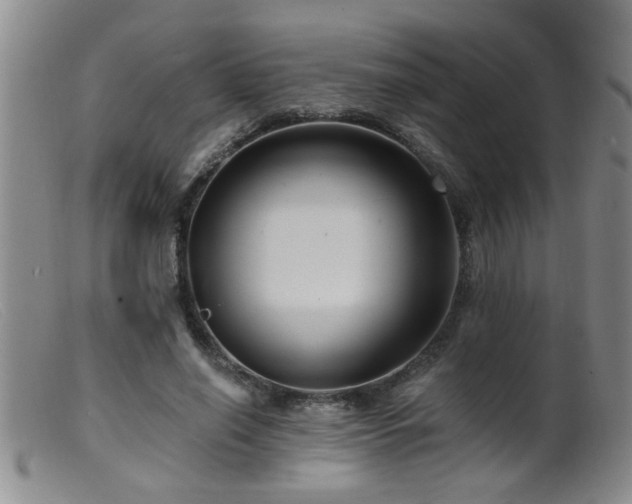 X0000099450638200805161023