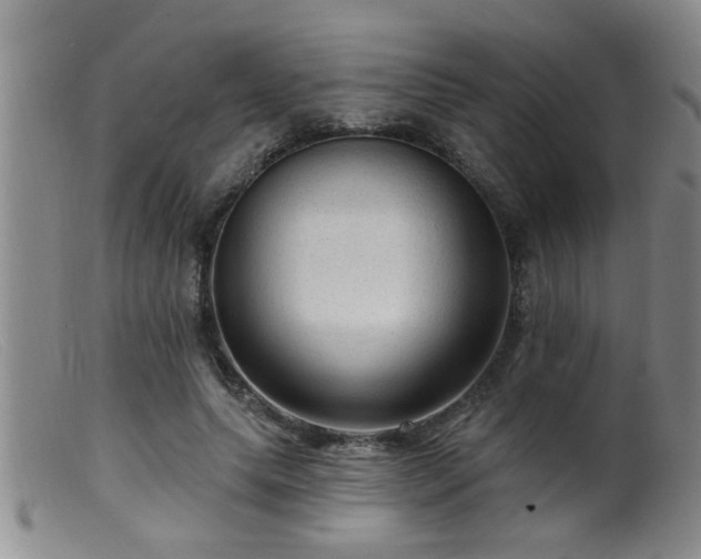 X0000099450639200805161023