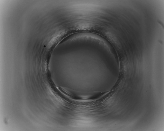 X0000099450640200805161023