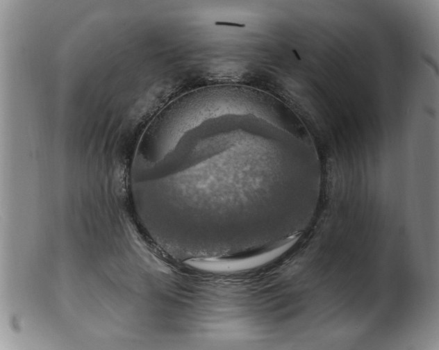 X0000099450641200805161023