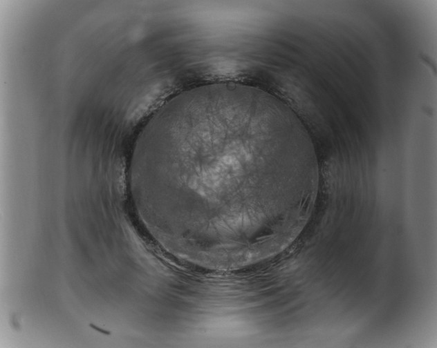 X0000099450642200805161023