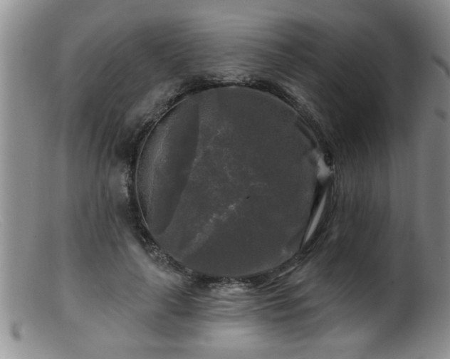 X0000099450643200805161023