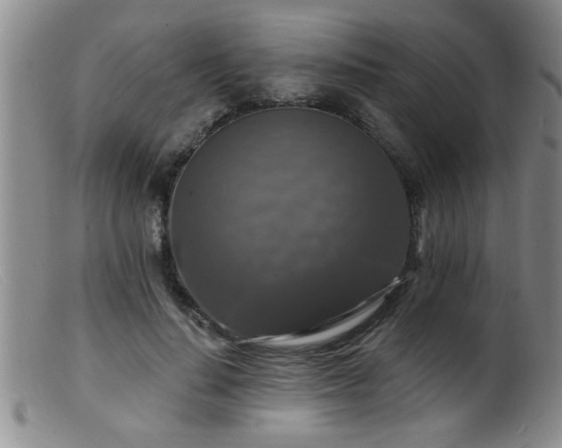 X0000099450644200805161023