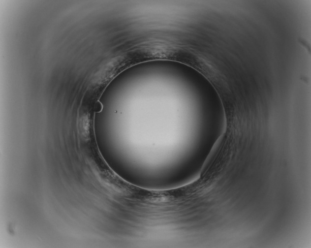 X0000099450646200805161023