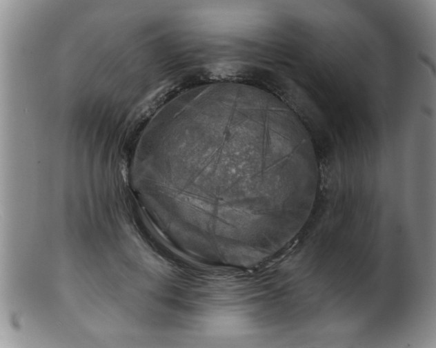 X0000099450648200805161023