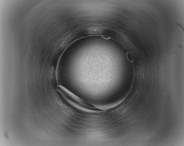 X0000099450649200805161023