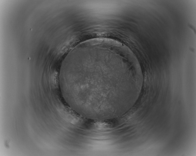 X0000099450650200805161023