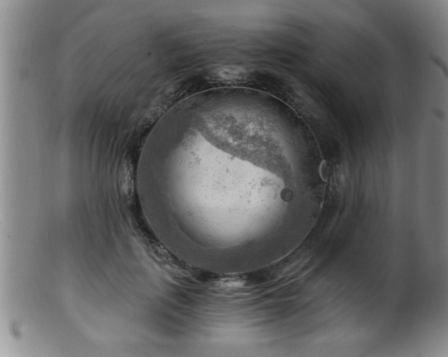 X0000099450651200805161023