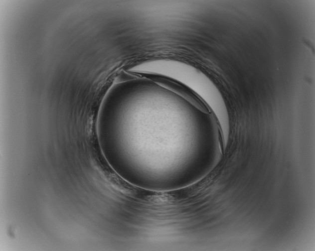 X0000099450652200805161023