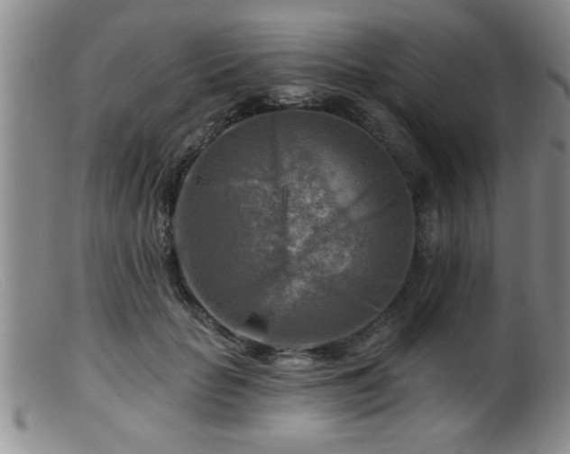 X0000099450653200805161023