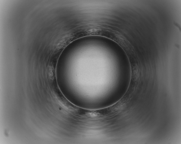 X0000099450654200805161023