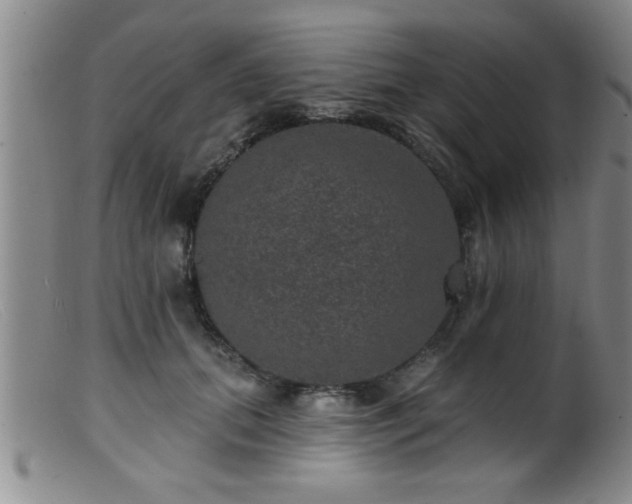 X0000099450655200805161023