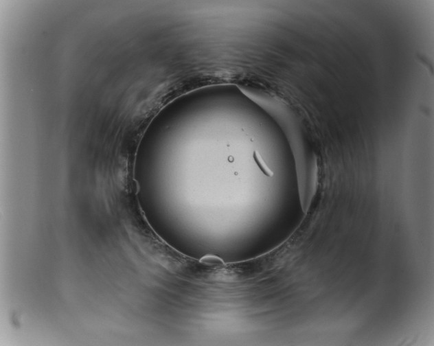 X0000099450656200805161023