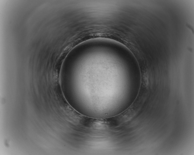 X0000099450657200805161023