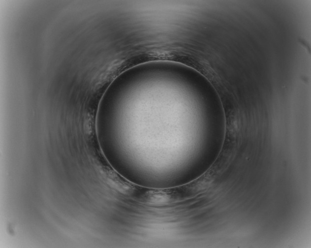 X0000099450658200805161023