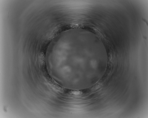 X0000099450659200805161023