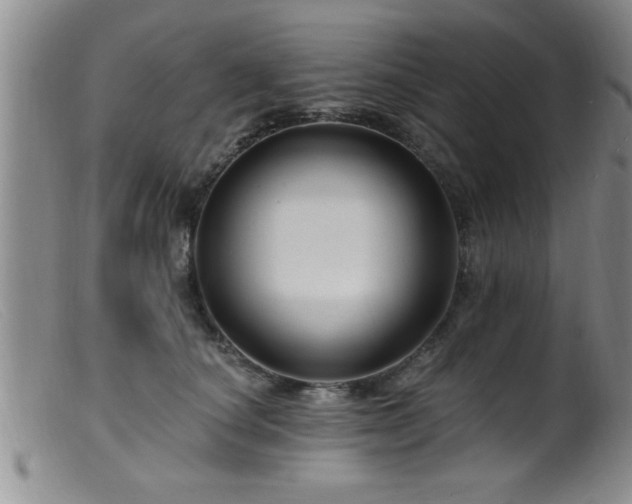 X0000099450660200805161023