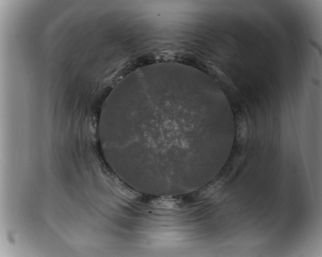 X0000099450661200805161023