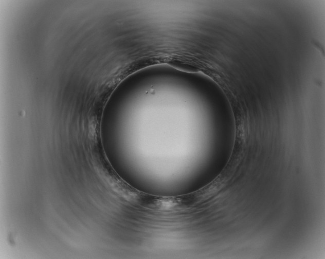 X0000099450662200805161023