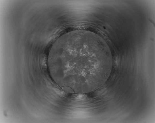 X0000099450663200805161023