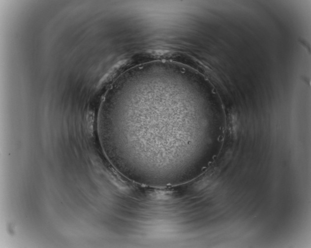 X0000099450664200805161023