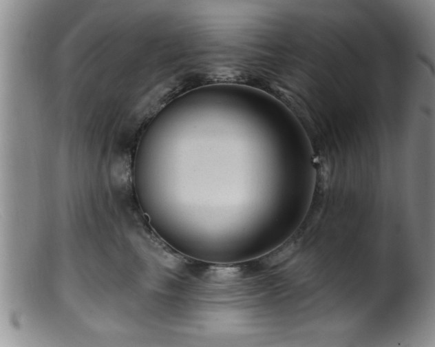 X0000099450665200805161023