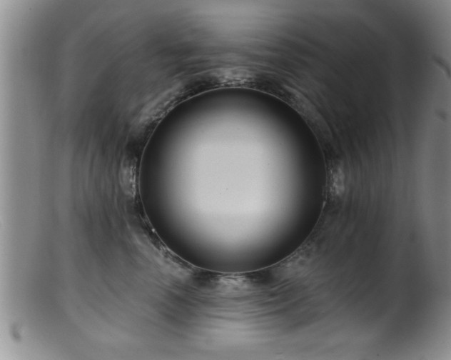 X0000099450666200805161023