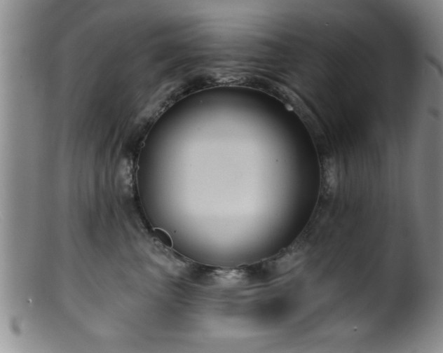 X0000099450667200805161023