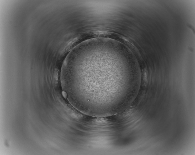 X0000099450668200805161023