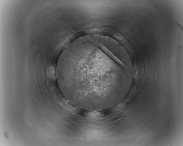 X0000099450669200805161023