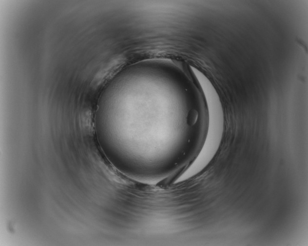 X0000099450670200805161023