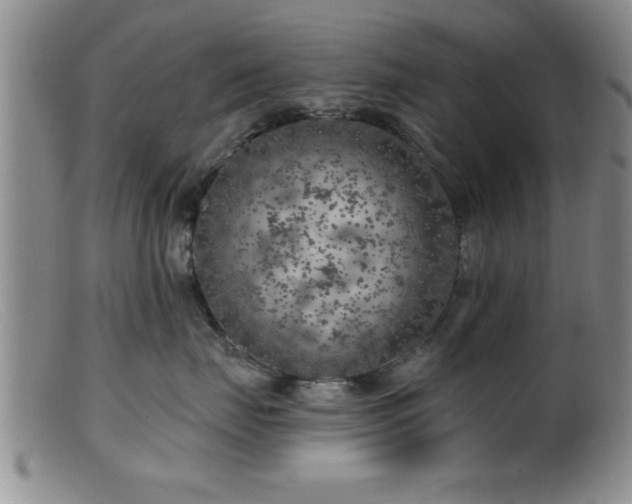 X0000099450671200805161024