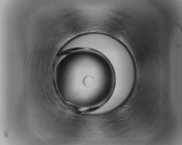 X0000099450673200805161023