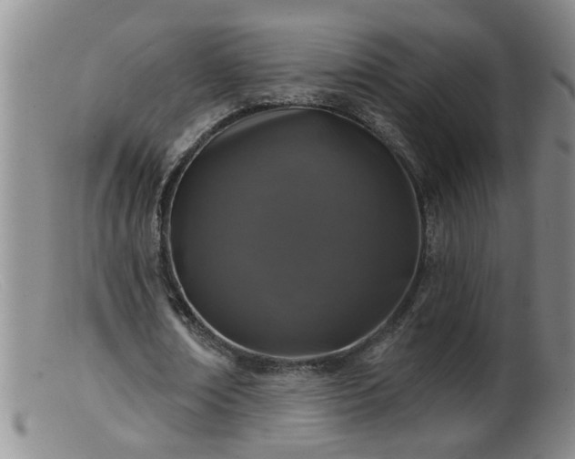 X0000099450674200805161023