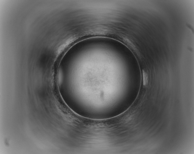 X0000099450675200805161023