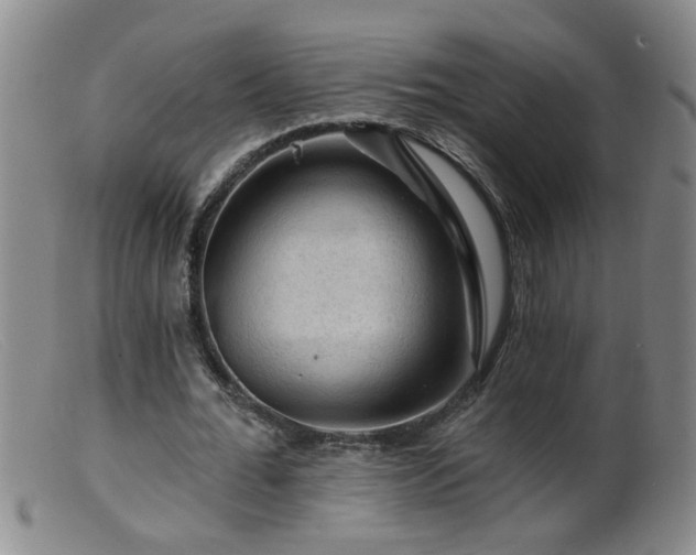 X0000099450676200805161023