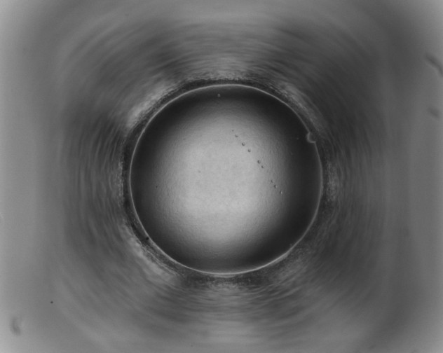 X0000099450677200805161023