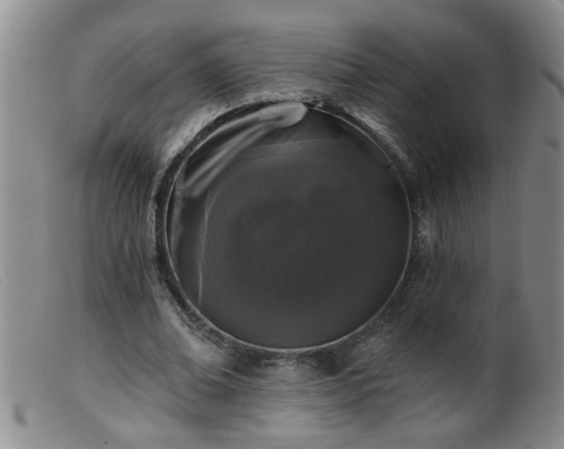 X0000099450678200805161023