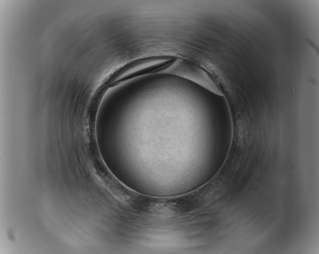 X0000099450680200805161023