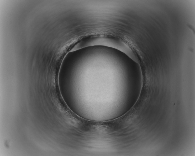 X0000099450681200805161023