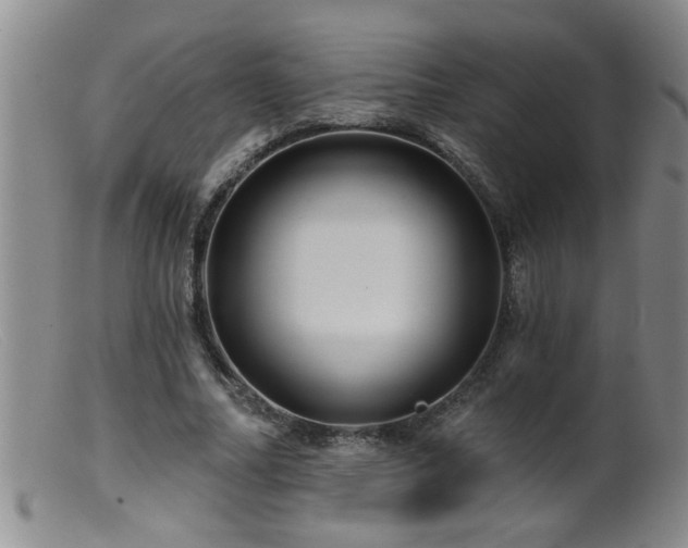 X0000099450682200805161023