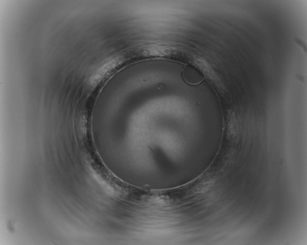 X0000099450683200805161023