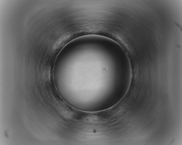 X0000099450685200805161022