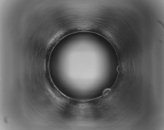 X0000099450686200805161022