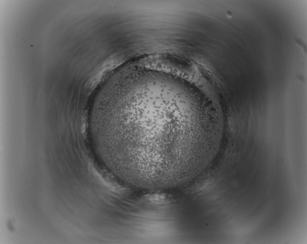 X0000099450687200805161022