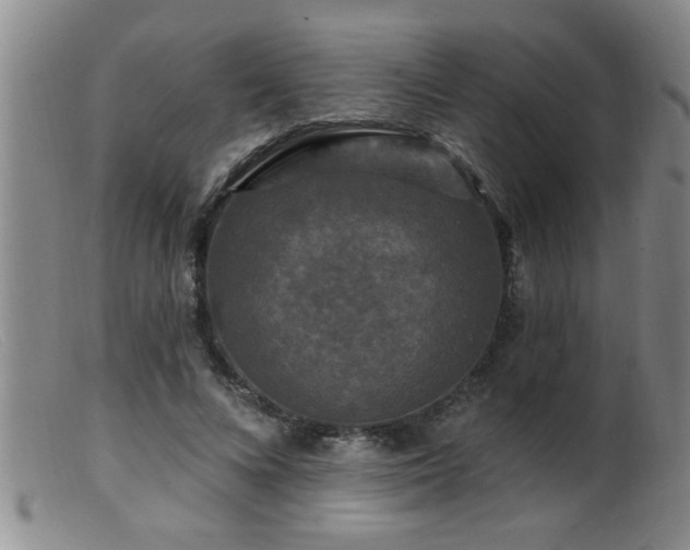 X0000099450688200805161022