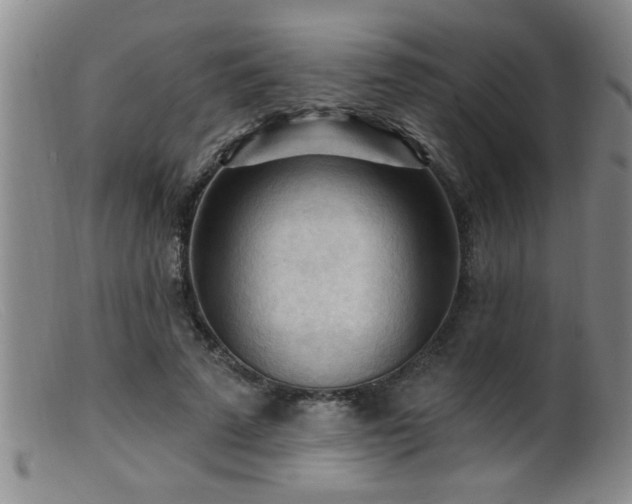 X0000099450689200805161022