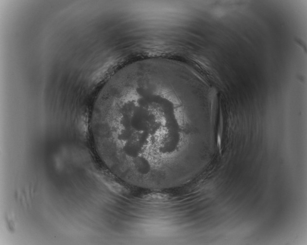 X0000099450691200805161022