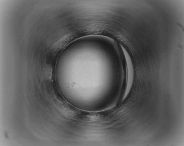 X0000099450693200805161022