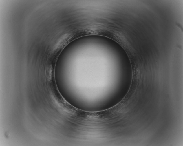 X0000099450694200805161022